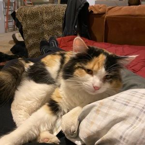 Meet your Posher, Jessie